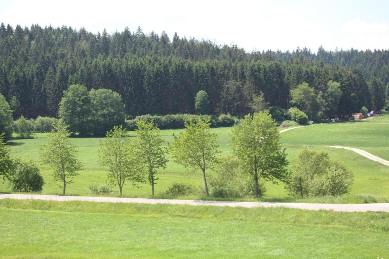 Ferienwohnungen Holzferienhaeuser Leithenwald Zwiesel Exterior photo