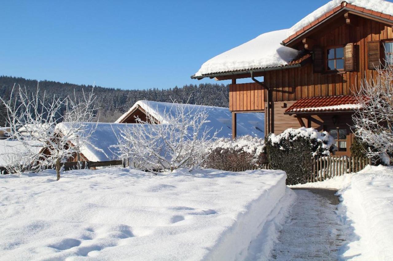 Ferienwohnungen Holzferienhaeuser Leithenwald Zwiesel Exterior photo